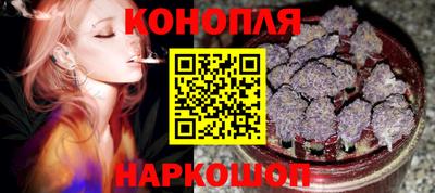индика Сланцы
