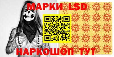 индика Сланцы