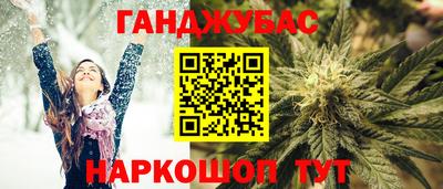 индика Сланцы