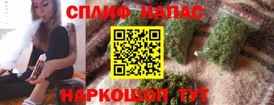 индика Сланцы