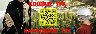 индика Сланцы