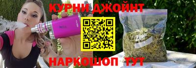 индика Сланцы