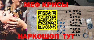 индика Сланцы