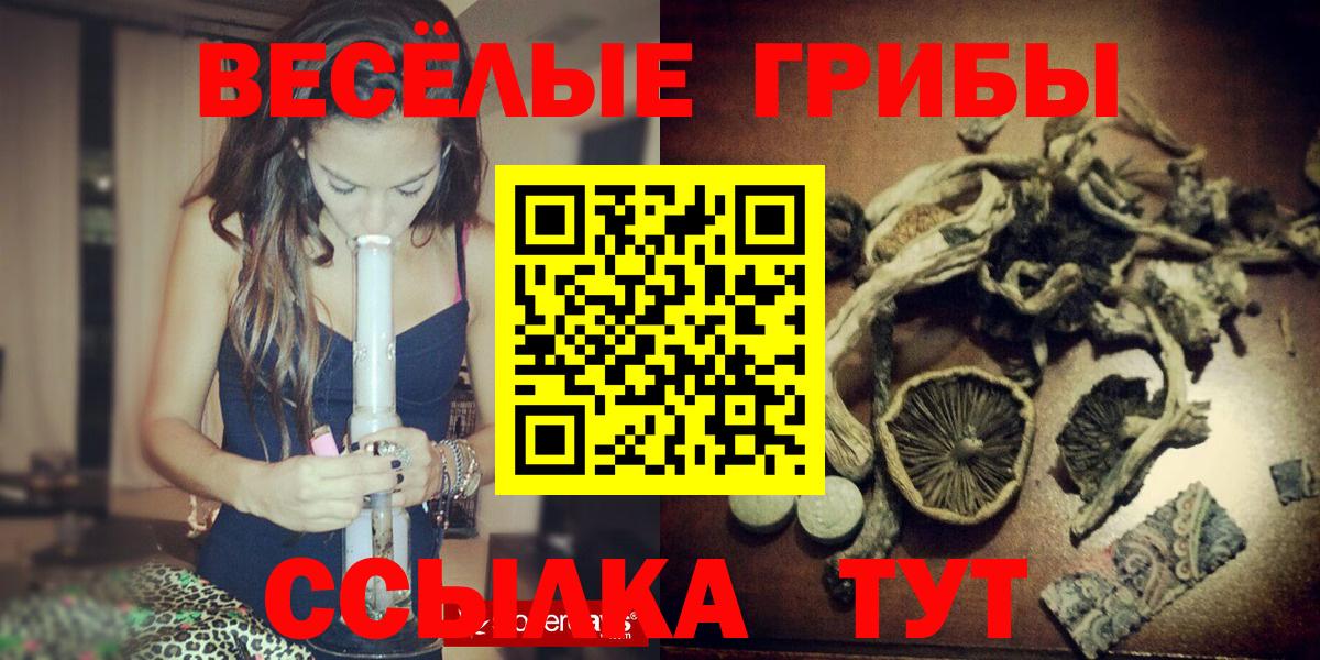 Псилоцибиновые грибы Cubensis  Вход с VPN  Мурино 