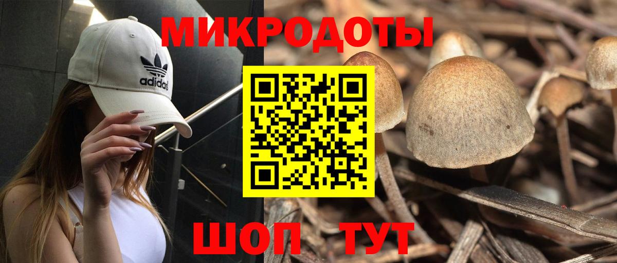 Галлюциногенные грибы GOLDEN TEACHER Мурино
